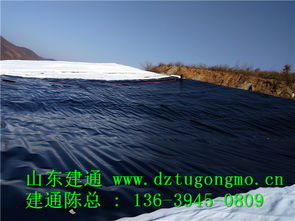 專業(yè)高效，品質(zhì)信賴 探訪江西復(fù)合土工布工廠直銷與山東建通建材加工服務(wù)